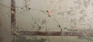 Sicherung historischer Putzbestand an der Decke